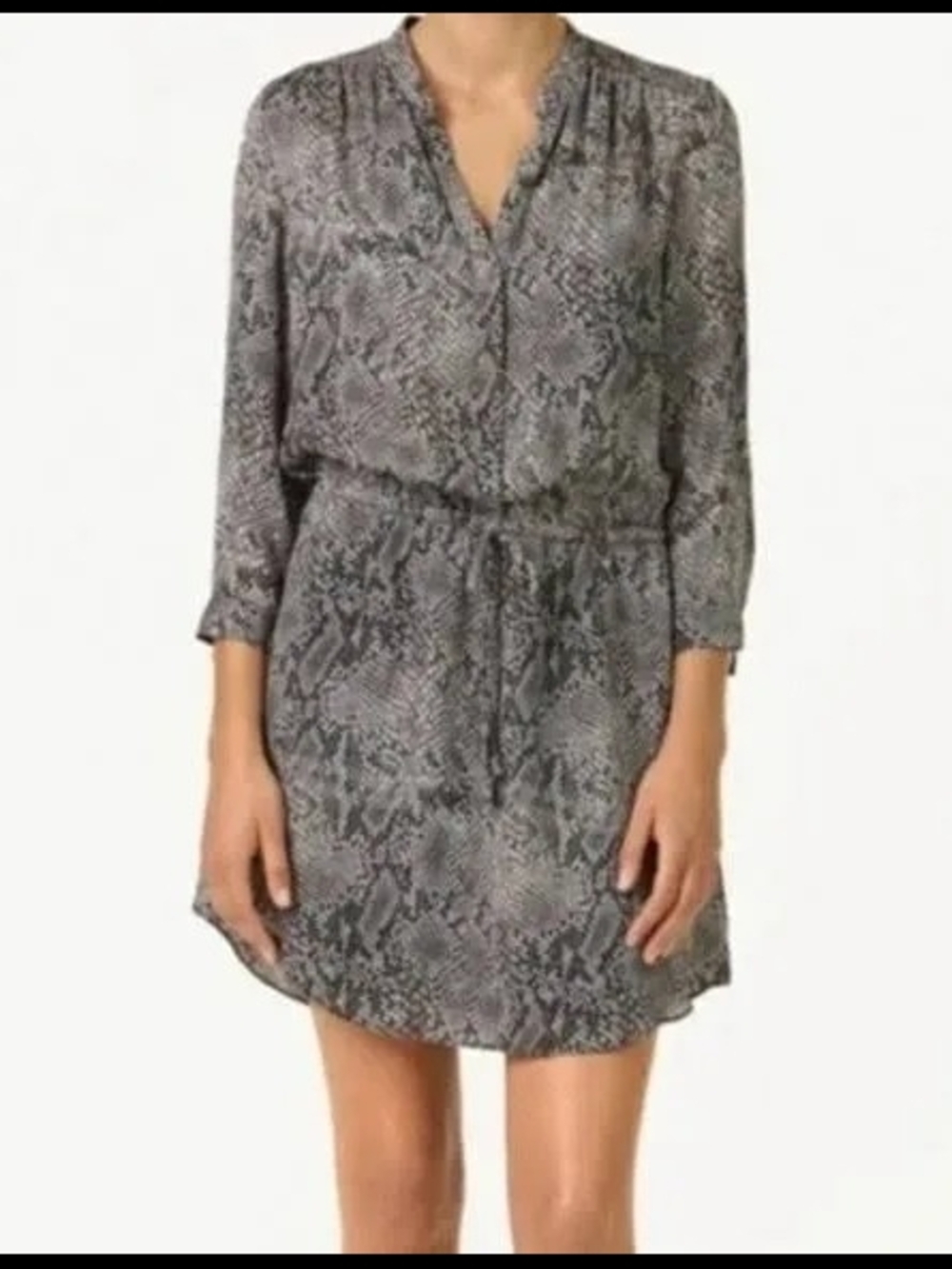 Aritzia Snake Print Bennett Dress